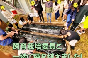 生駒小学校の子どもたちと綿を育てています